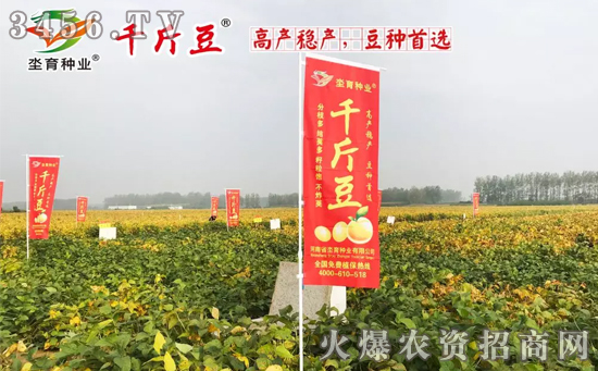 【高产稳产·豆种】千斤豆漯河观摩会圆满成功! 【高产稳产·豆种】千斤豆漯河观摩会圆满成功!