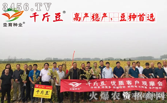 【高产稳产·豆种】千斤豆漯河观摩会圆满成功! 【高产稳产·豆种】千斤豆漯河观摩会圆满成功!