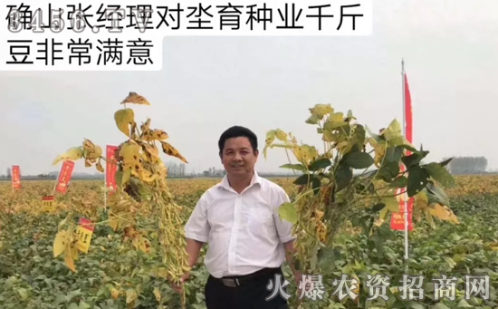 【高产稳产·豆种】千斤豆漯河观摩会圆满成功! 【高产稳产·豆种】千斤豆漯河观摩会圆满成功!