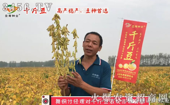 【高产稳产·豆种】千斤豆漯河观摩会圆满成功! 【高产稳产·豆种】千斤豆漯河观摩会圆满成功!
