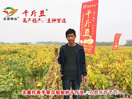 【高产稳产·豆种】千斤豆漯河观摩会圆满成功! 【高产稳产·豆种】千斤豆漯河观摩会圆满成功!
