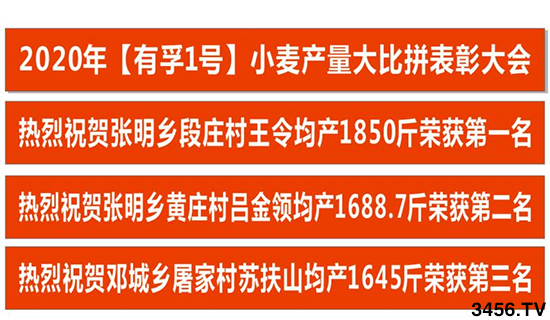 小麦产量悬殊巨大?用上有孚1号,产量增加妥妥的! 小麦产量悬殊巨大?用上有孚1号,产量增加妥妥的!