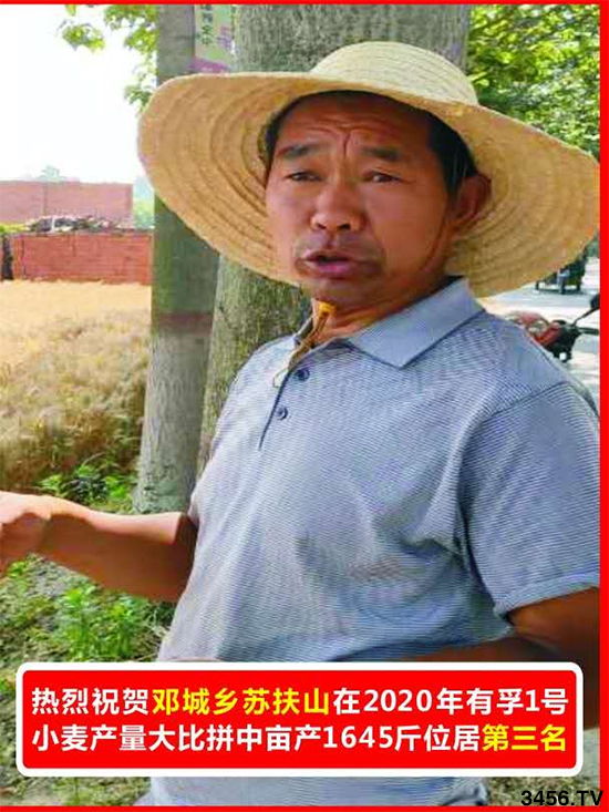 小麦产量悬殊巨大?用上有孚1号,产量增加妥妥的! 小麦产量悬殊巨大?用上有孚1号,产量增加妥妥的!