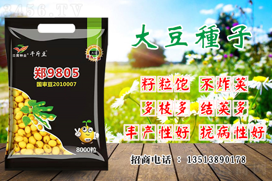 如何选择好的大豆品种?什么大豆种子产量高? 如何选择好的大豆品种?什么大豆种子产量高?