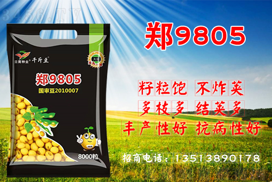 如何选择好的大豆品种?什么大豆种子产量高? 如何选择好的大豆品种?什么大豆种子产量高?